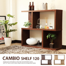 VFt CAMBIO SHELF JrI 